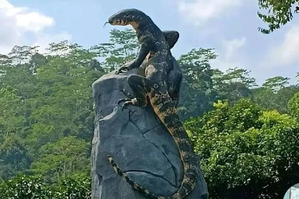 Patung Biawak Raksasa di Wonosobo Tuai Perhatian Netizen